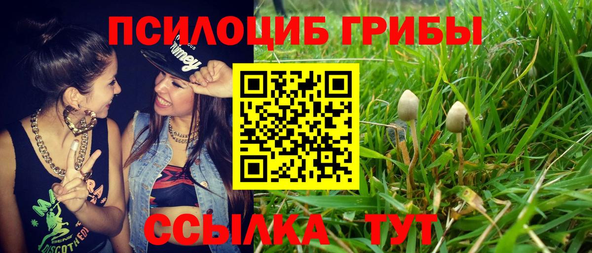 Псилоцибиновые грибы мицелий Псков