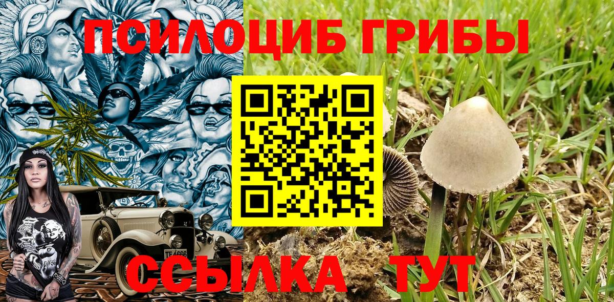 Галлюциногенные грибы MAGIC MUSHROOMS  Псилоцибиновые грибы Magic Shrooms  Вход с VPN  Псков 